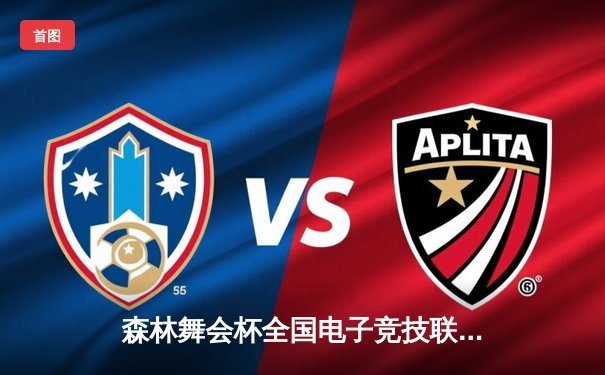 森林舞会杯全国电子竞技联赛总决赛 雷霆战队卫冕成功创三连冠纪录